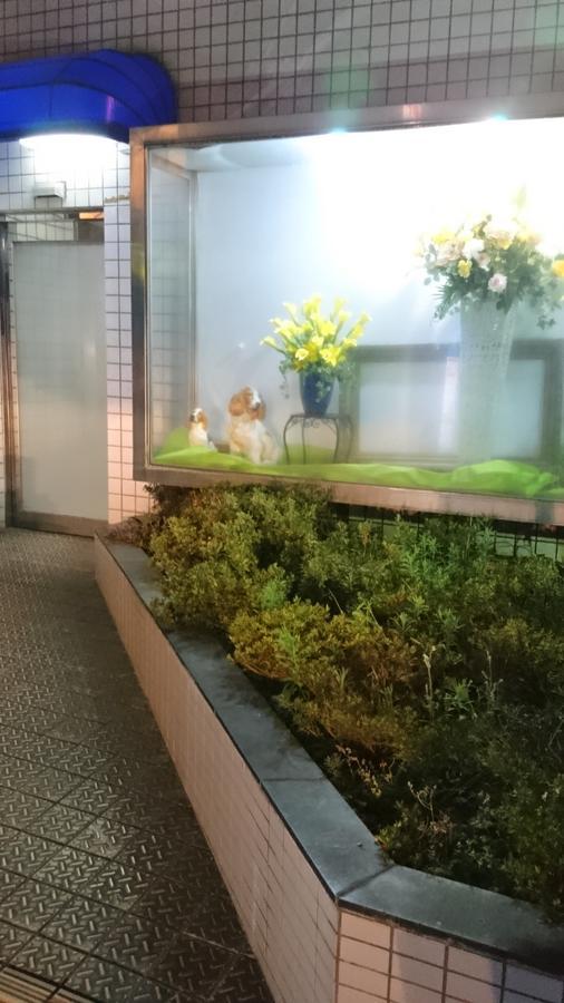 Hotel Loire (Adults Only) Osaka Dış mekan fotoğraf
